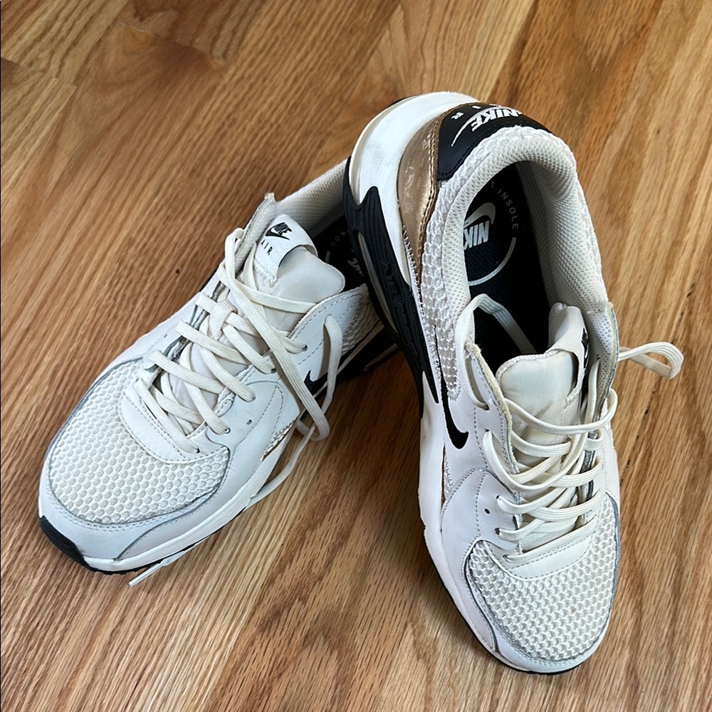 Nike Air Max Sneakers EUC